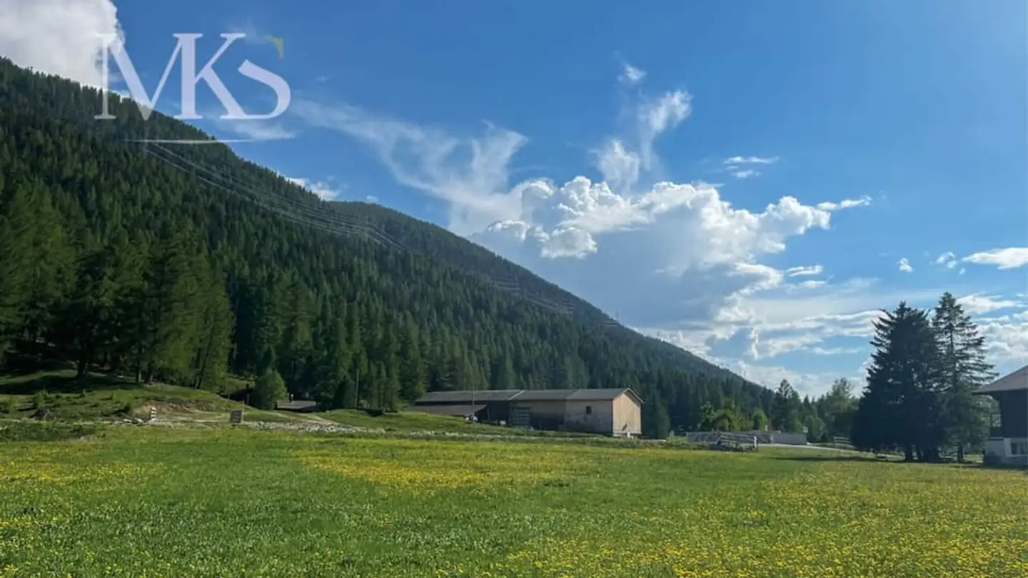 Constructible plot for sale - 3988 Ulrichen - Photo 2