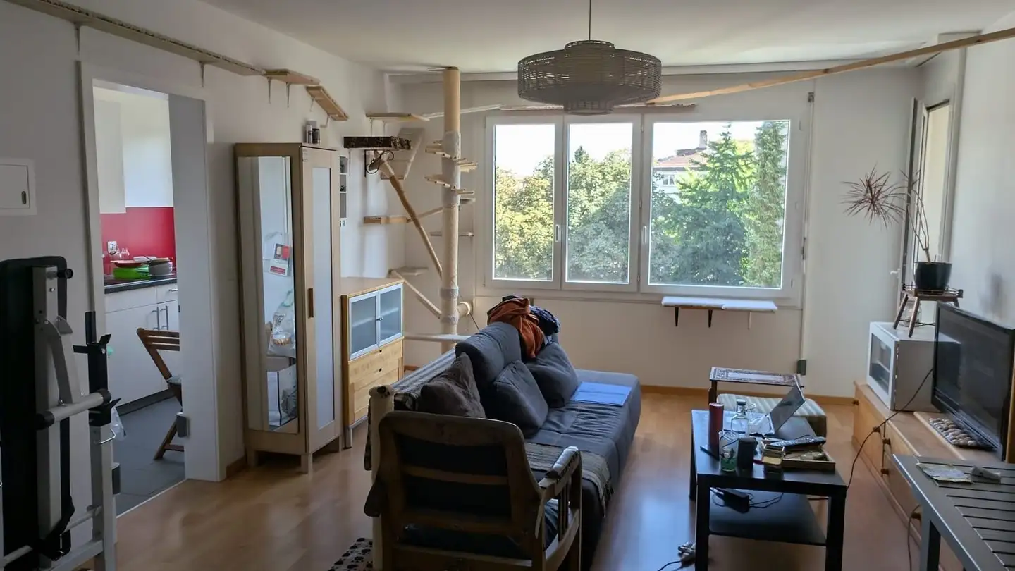 Appartamento in affitto - Waldeggstrasse 5, 3097 Liebefeld - Photo 3