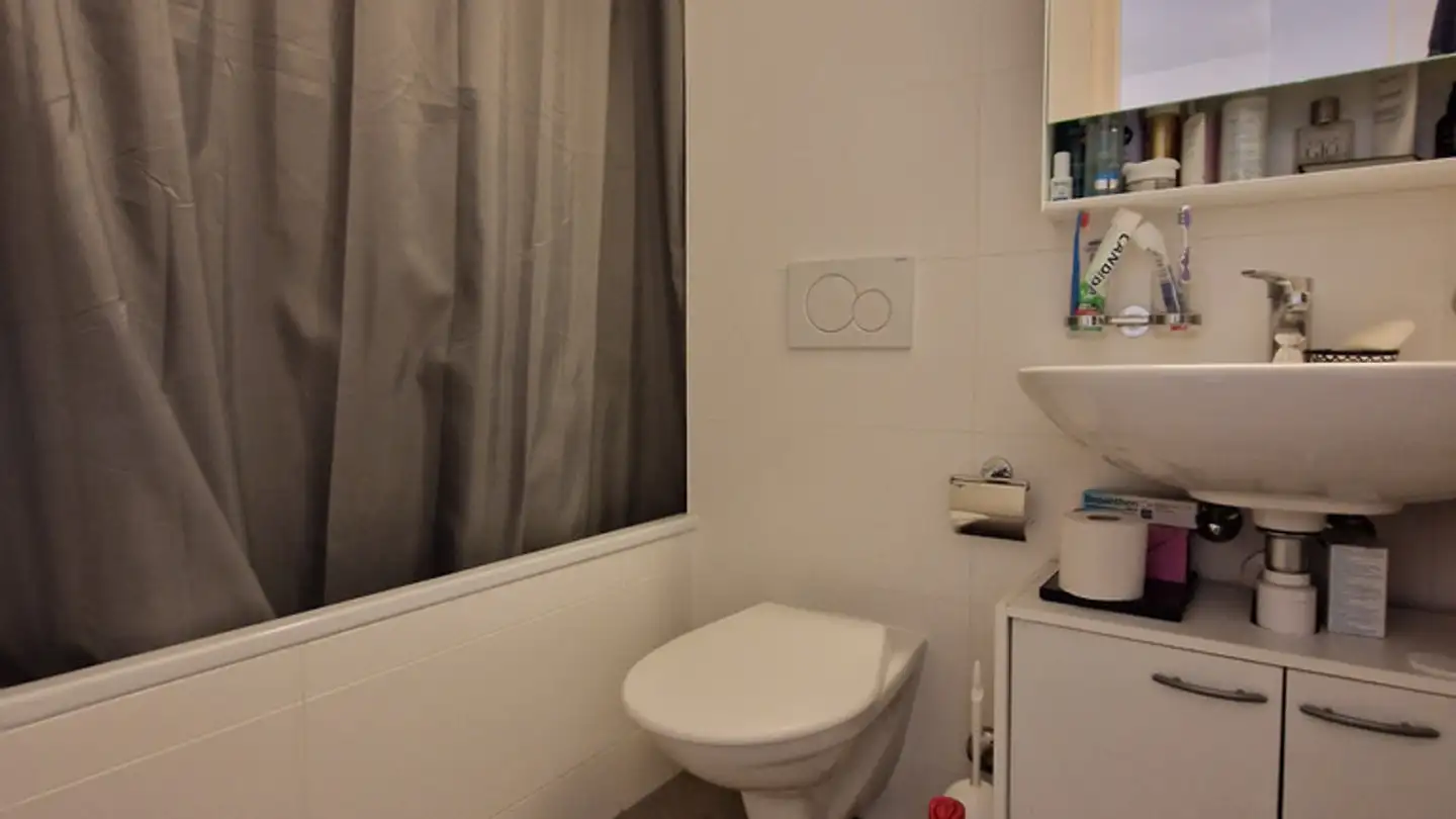 Appartamento in affitto - Avenue De Valmont 7, 1010 Lausanne - Photo 2