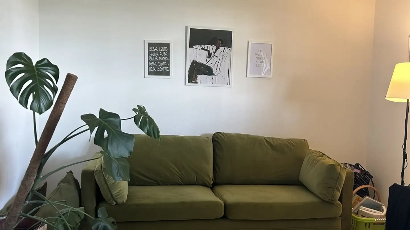 Chambre à louer - 9008 St. Gallen