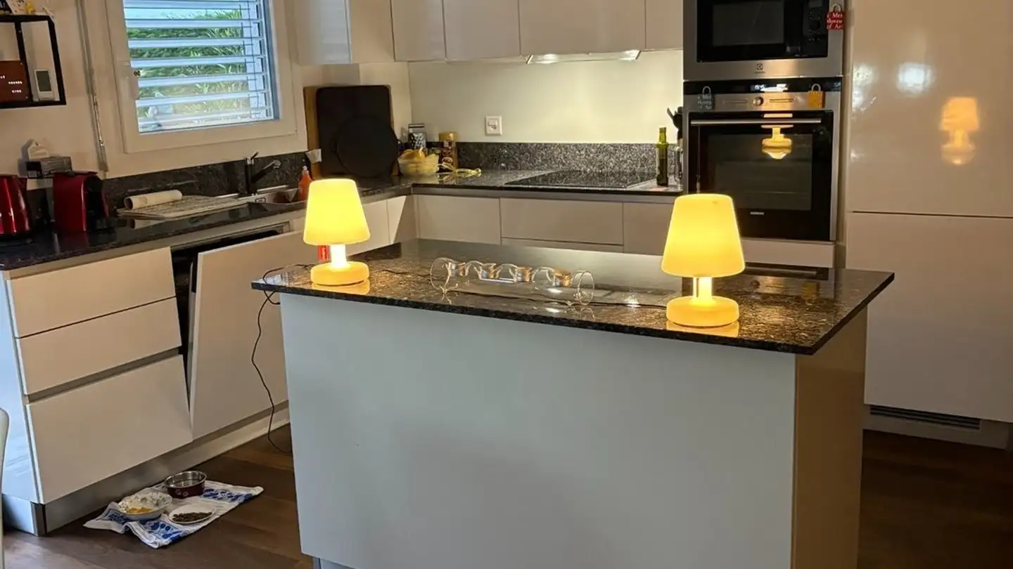 Single room for rent - 1296 Coppet - Photo 4