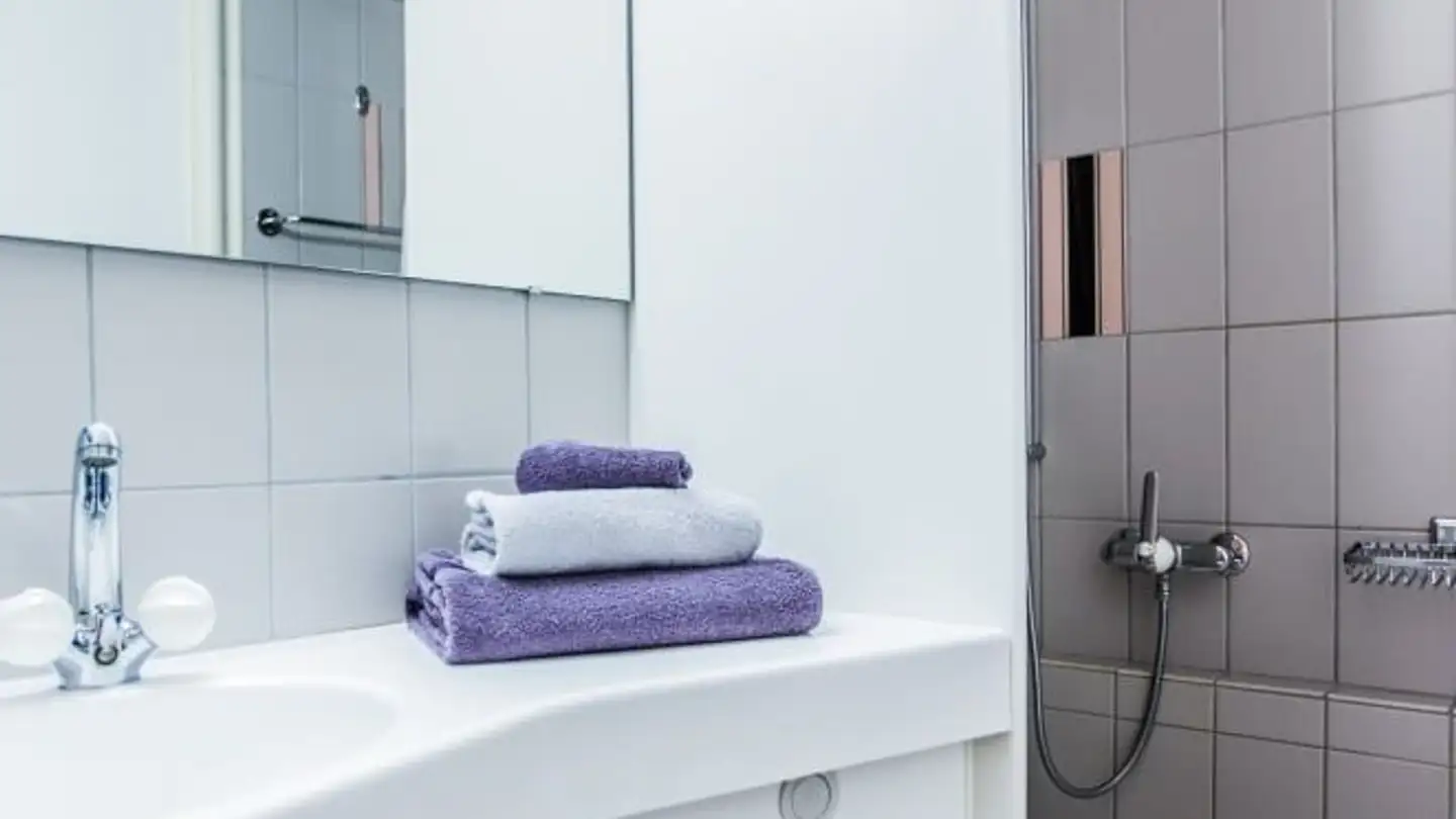 Appartement meublé à louer - Schützenmattstrasse 42, 4051 Basel - Photo 2