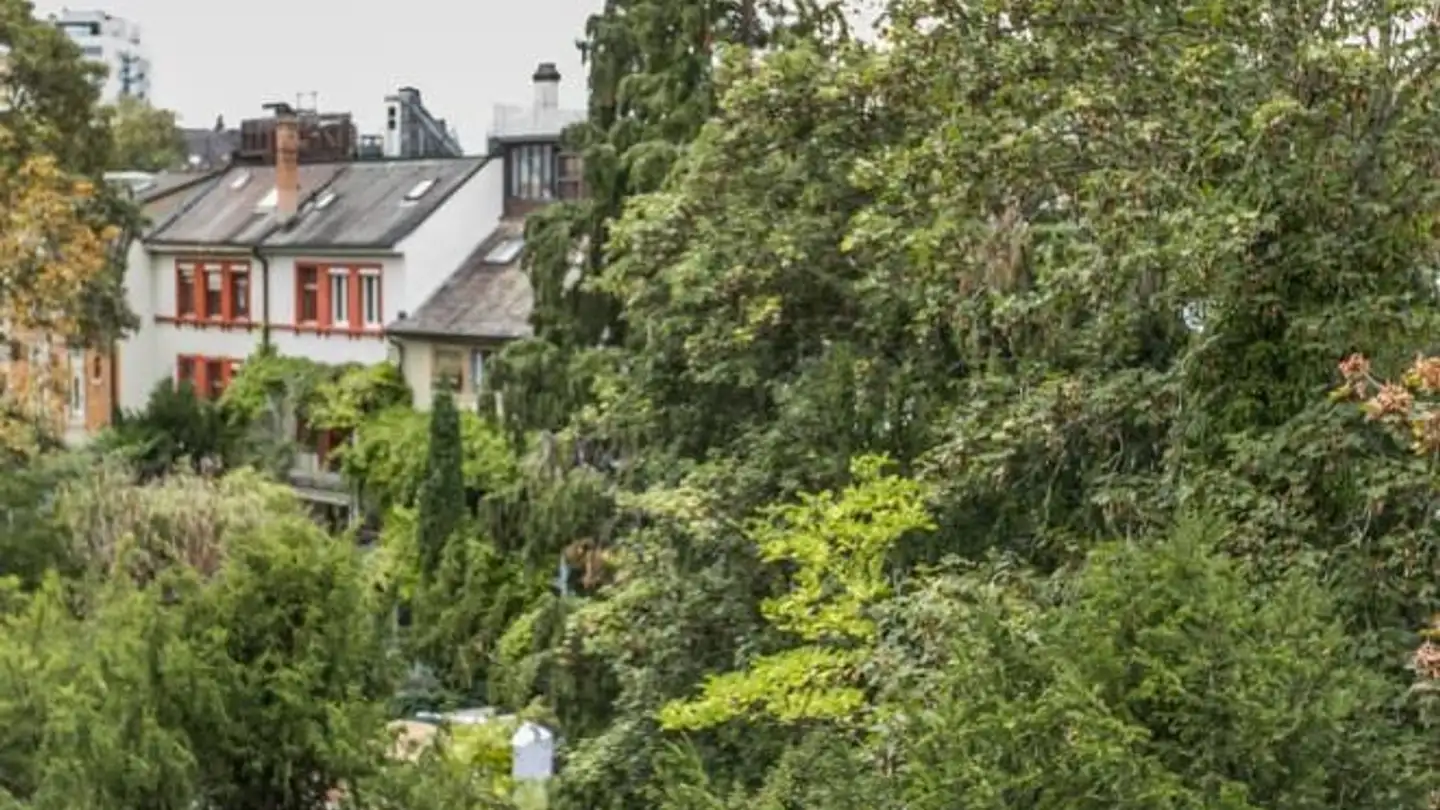 Appartement meublé à louer - Schützenmattstrasse 42, 4051 Basel - Photo 3