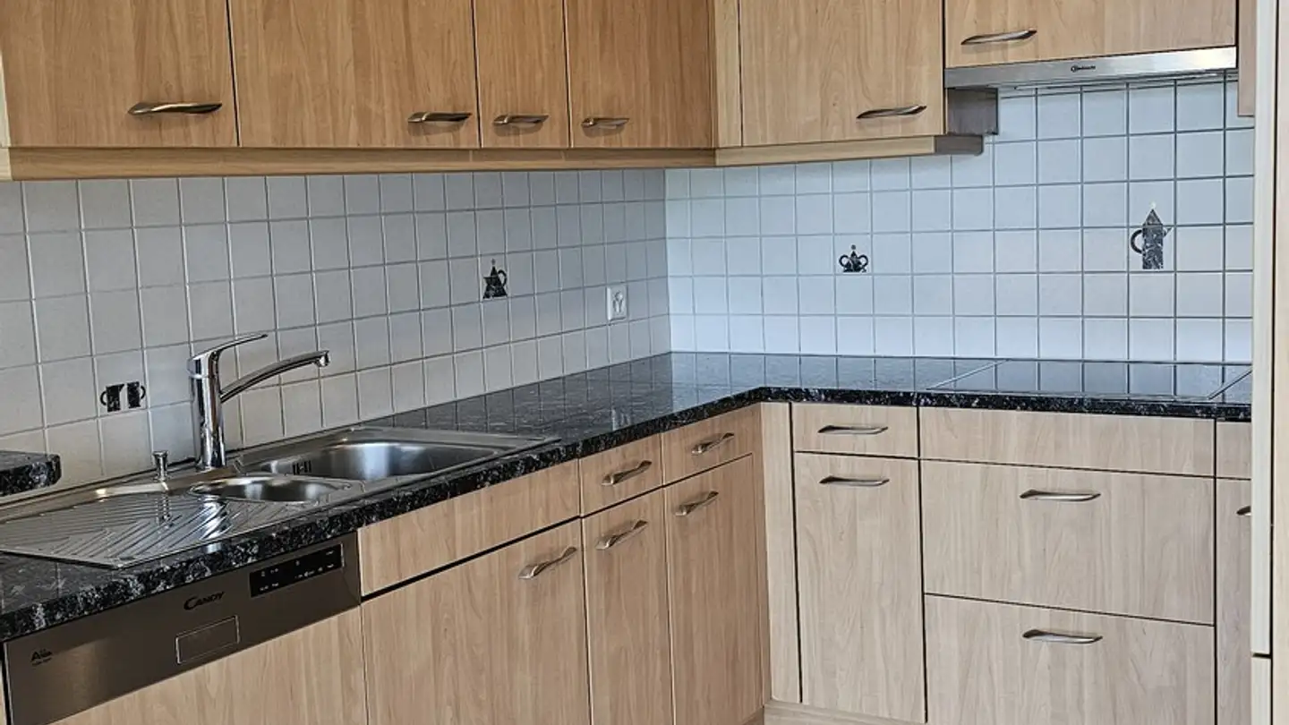Appartamento in affitto - Sihlweidstrasse 67, 8041 Zürich - Foto 3