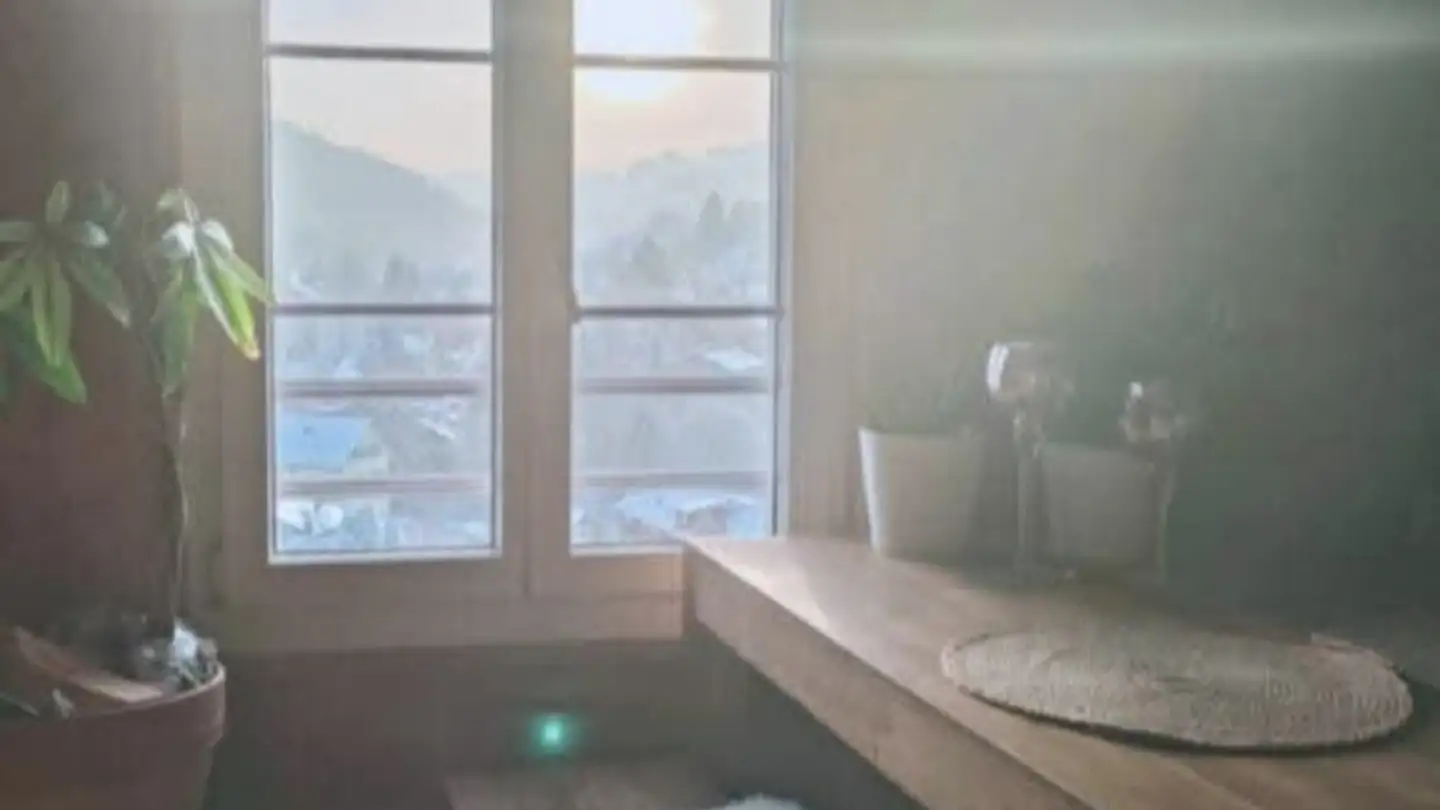 Appartamento in affitto - Büel 2393, 9100 Herisau