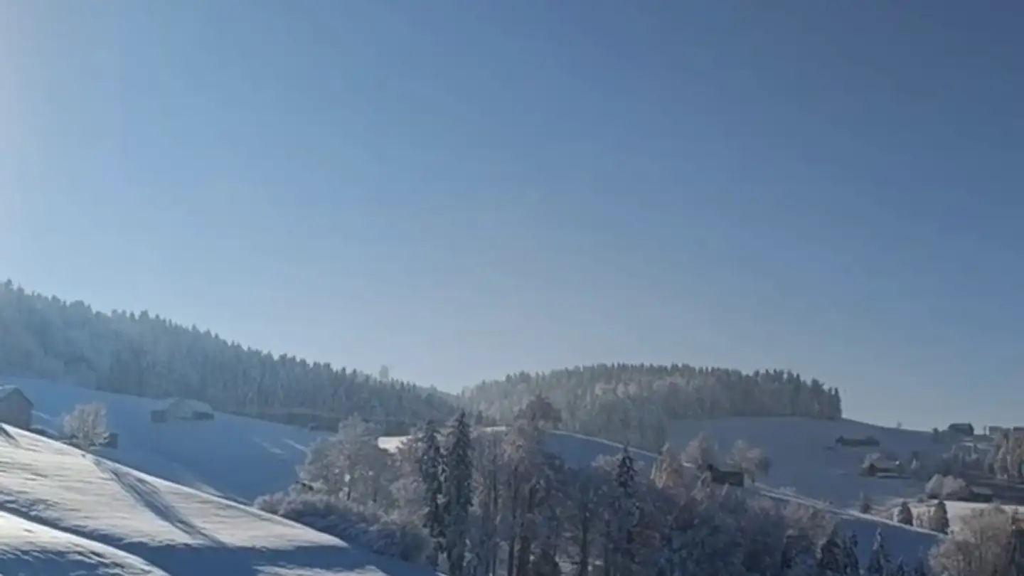 Appartamento in affitto - Büel 2393, 9100 Herisau - Photo 2