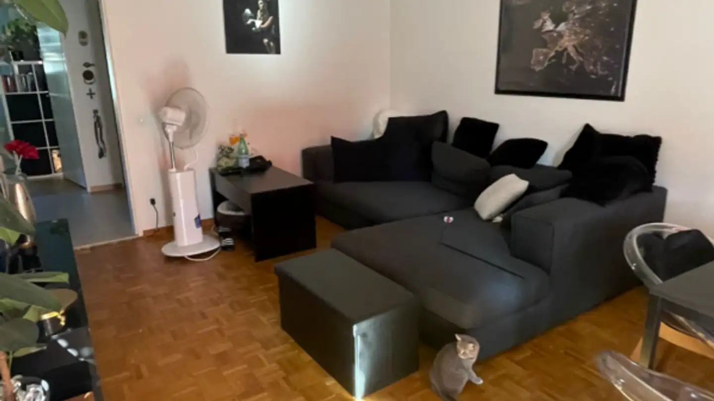 Wohnung mieten - Schützenstrasse 23, 8953 Dietikon - Foto 3