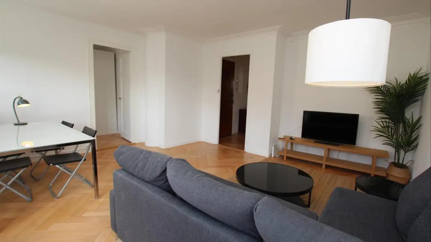 Furnished apartment for rent - Rue Goetz-Monin 25, 1205 Genève
