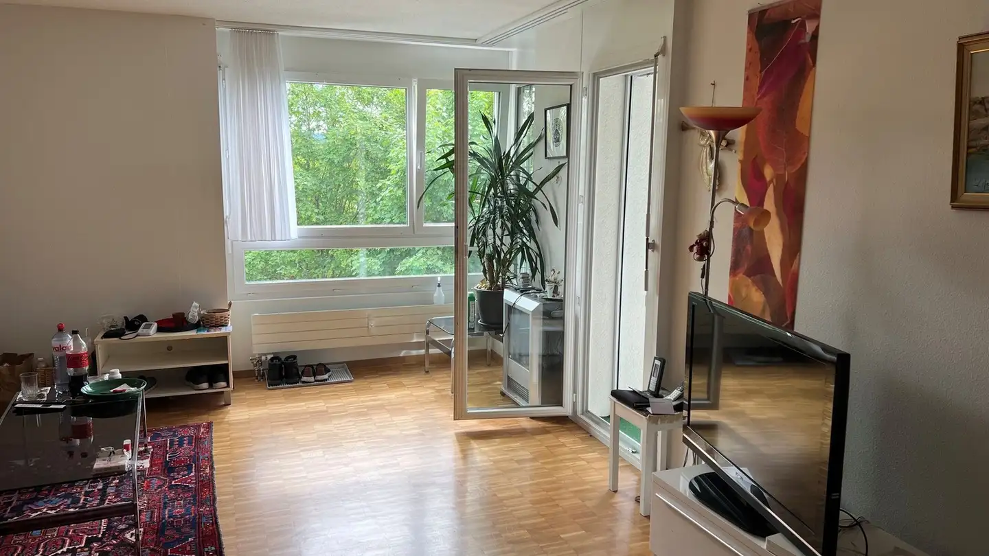 Appartamento in affitto - Guggenbühlstrasse 115, 8404 Winterthur - Foto 4