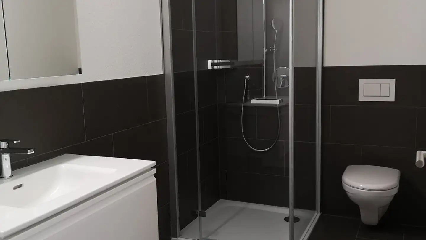 Appartamento in affitto - Haldenstrasse 3, 8472 Seuzach - Foto 3