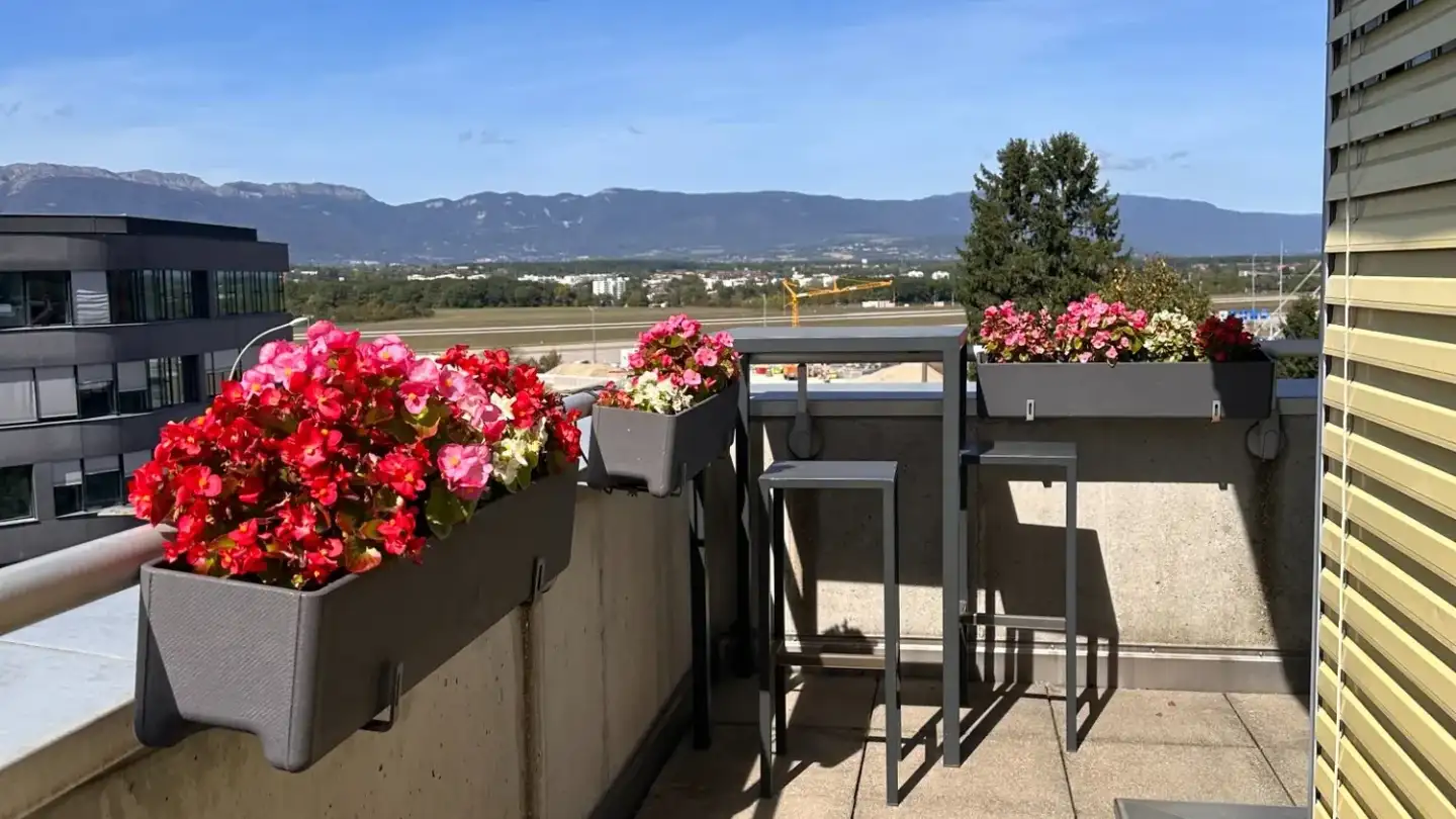 Appartamento in affitto - Route De Ferney 224, 1218 Le Grand-Saconnex