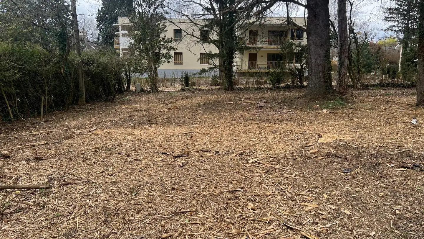 Constructible plot for sale - Chemin A.-P.-De-Montesquiou 1, 1213 Onex - Photo 2