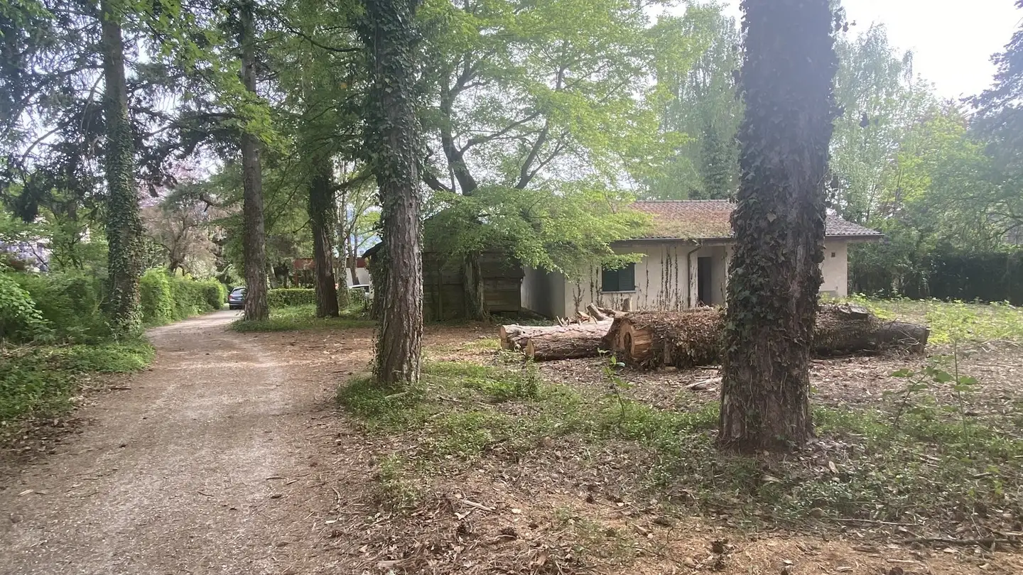 Constructible plot for sale - Chemin A.-P.-De-Montesquiou 1, 1213 Onex - Photo 3