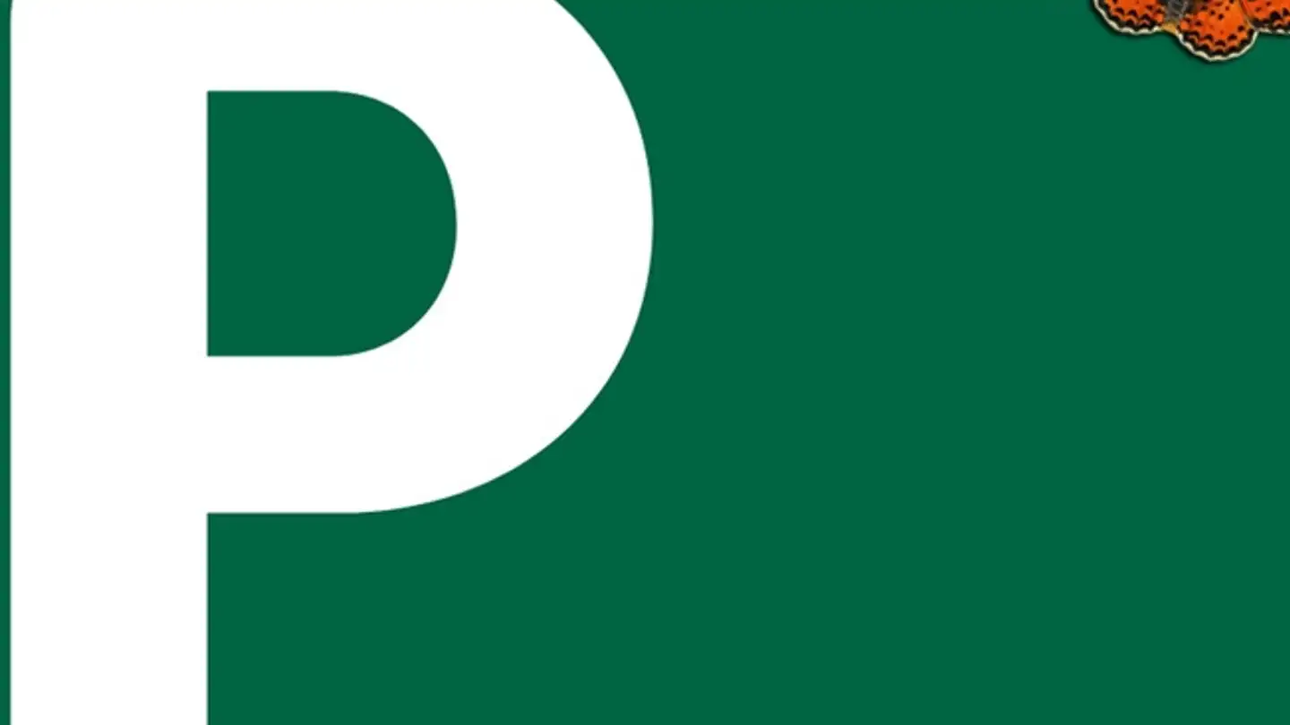 Place de parking extérieure à louer - Avenue Général Guisan 15, 1580 Avenches