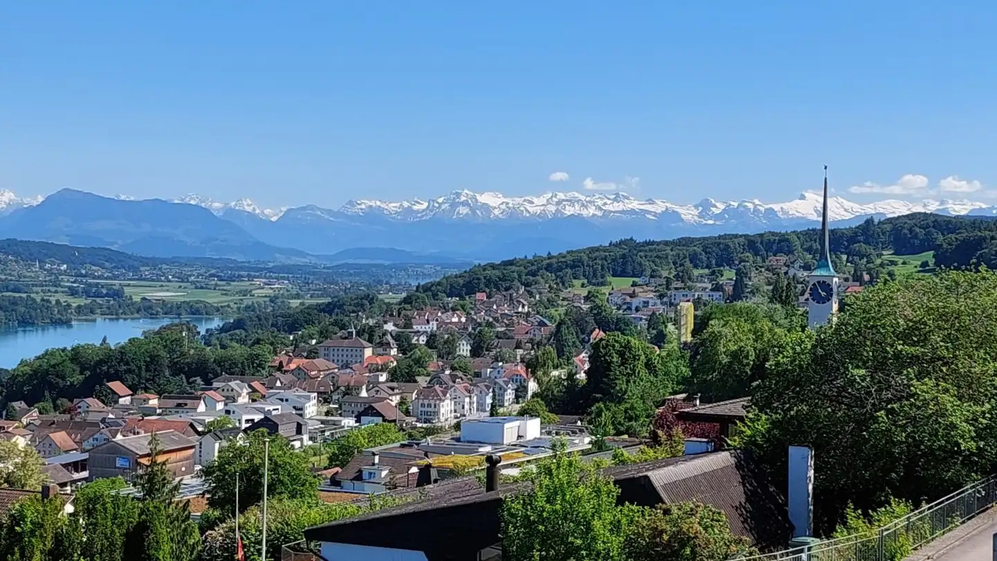 Stepped apartment for sale - Kehlenmatt 13, 5712 Beinwil am See - Photo 4