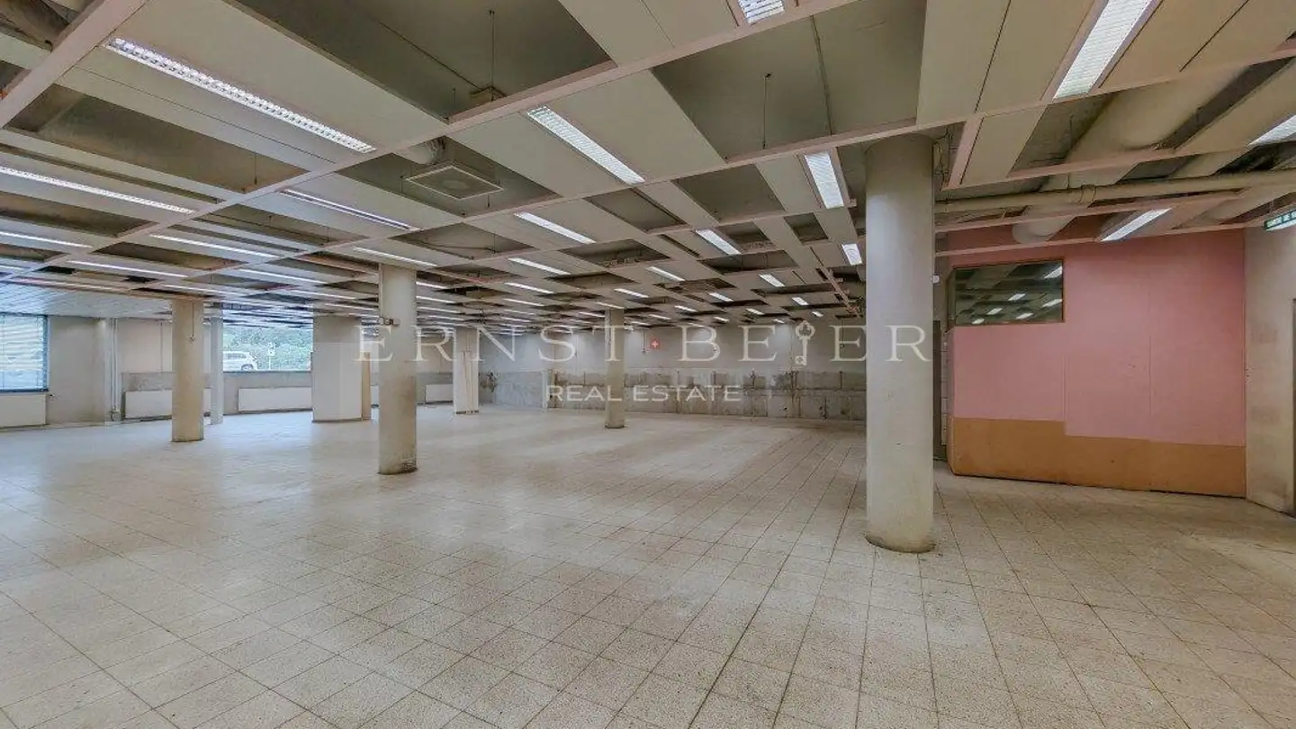 Spazio ufficio in vendita - 1865 Les Diablerets - Foto 3