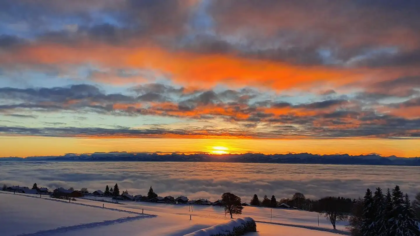 Single house for sale - 1452 Les Rasses