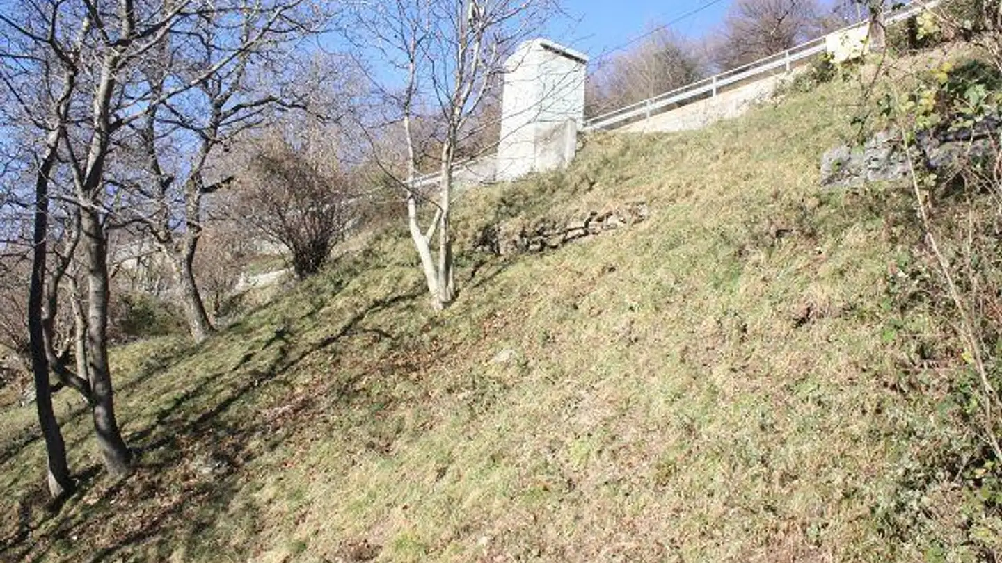 Constructible plot for sale - 6748 Anzonico - Photo 4