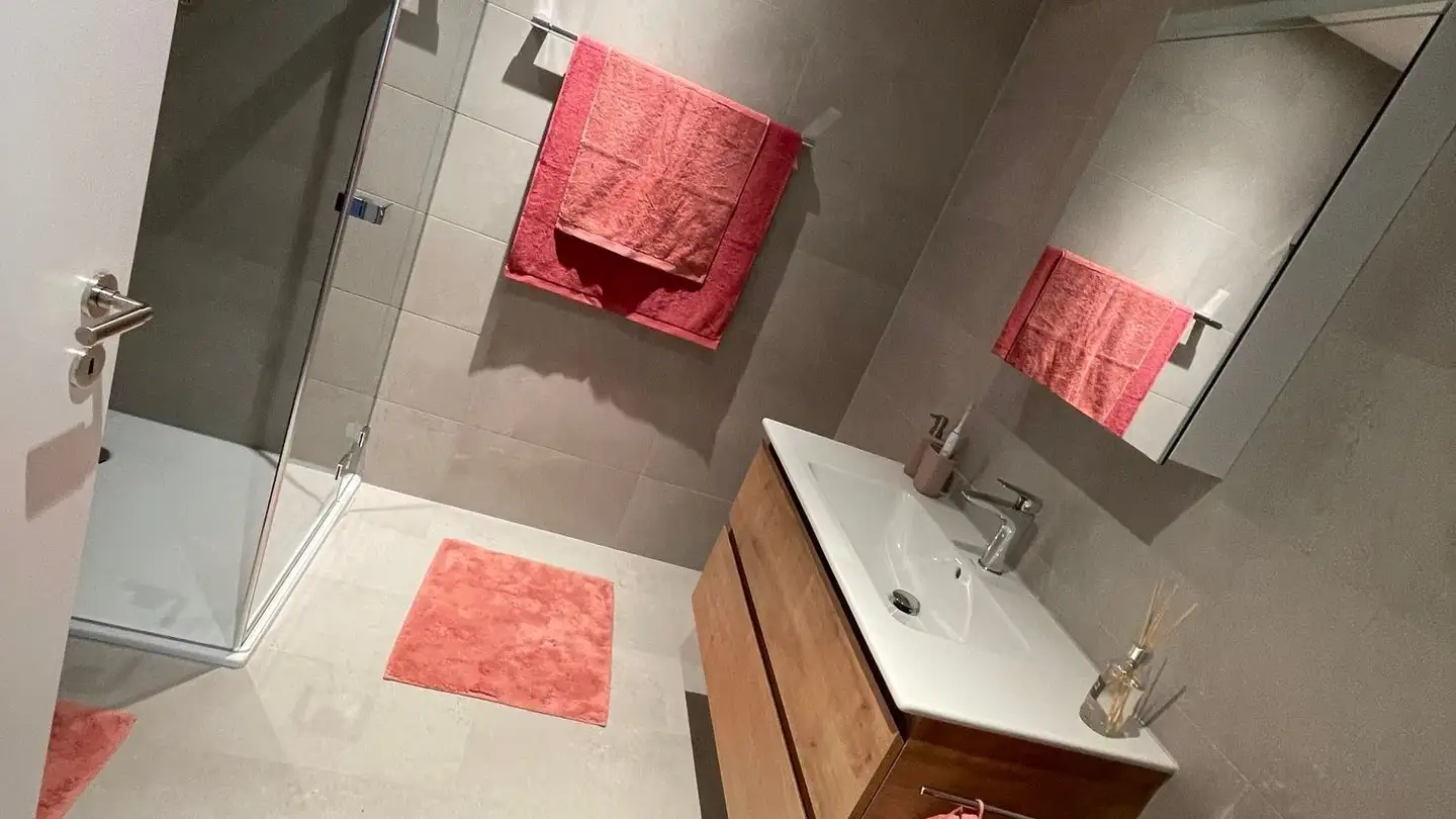 Appartamento in affitto - Steinhof 2, 5436 Würenlos - Foto 2