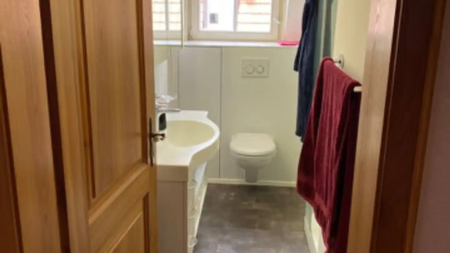Furnished apartment for rent - 8800 Thalwil