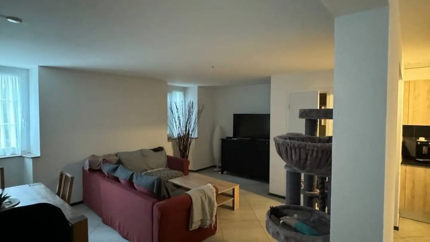 Single house for rent - Route D'eclagnens, 1376 Goumoens-la-Ville - Photo 4