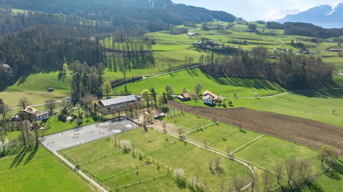 Maison individuelle à vendre - 1070 Puidoux