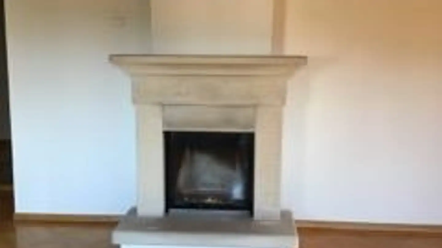 Wohnung mieten - 8955 Oetwil an der Limmat