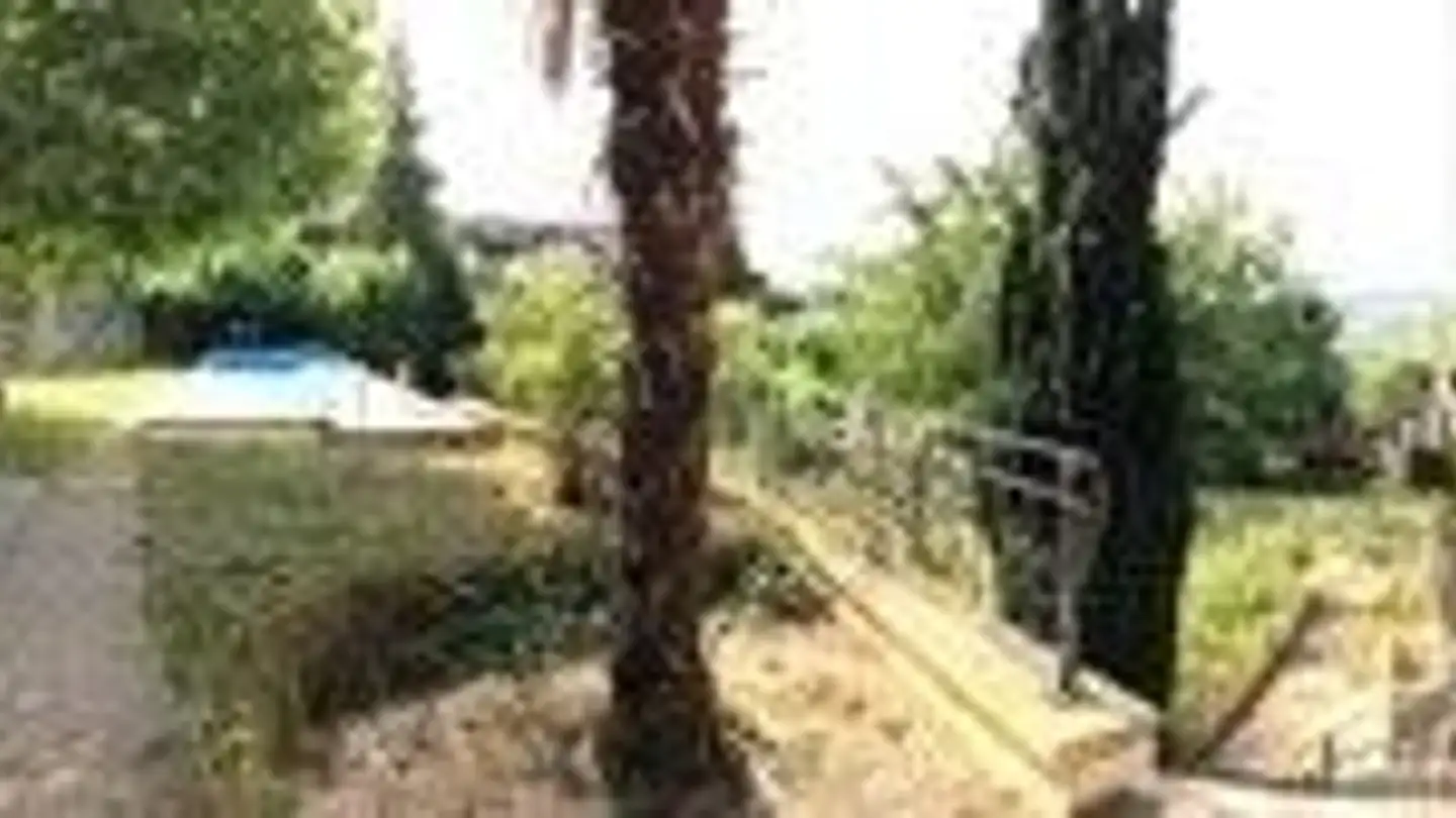 Wohnung mieten - 8955 Oetwil an der Limmat - Foto 4