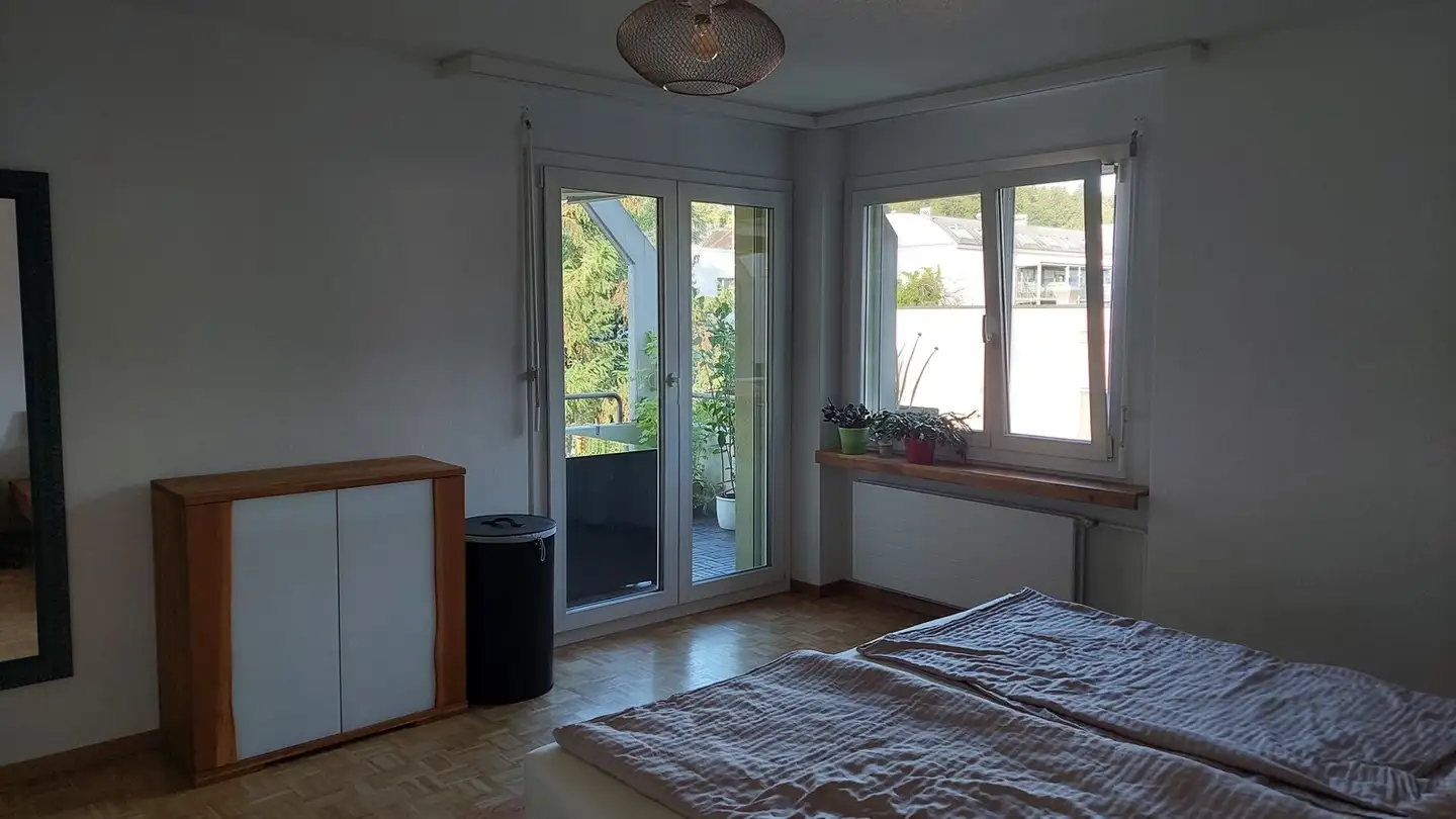 Appartement à louer - Oberwiesenstrasse 73, 8050 Zürich