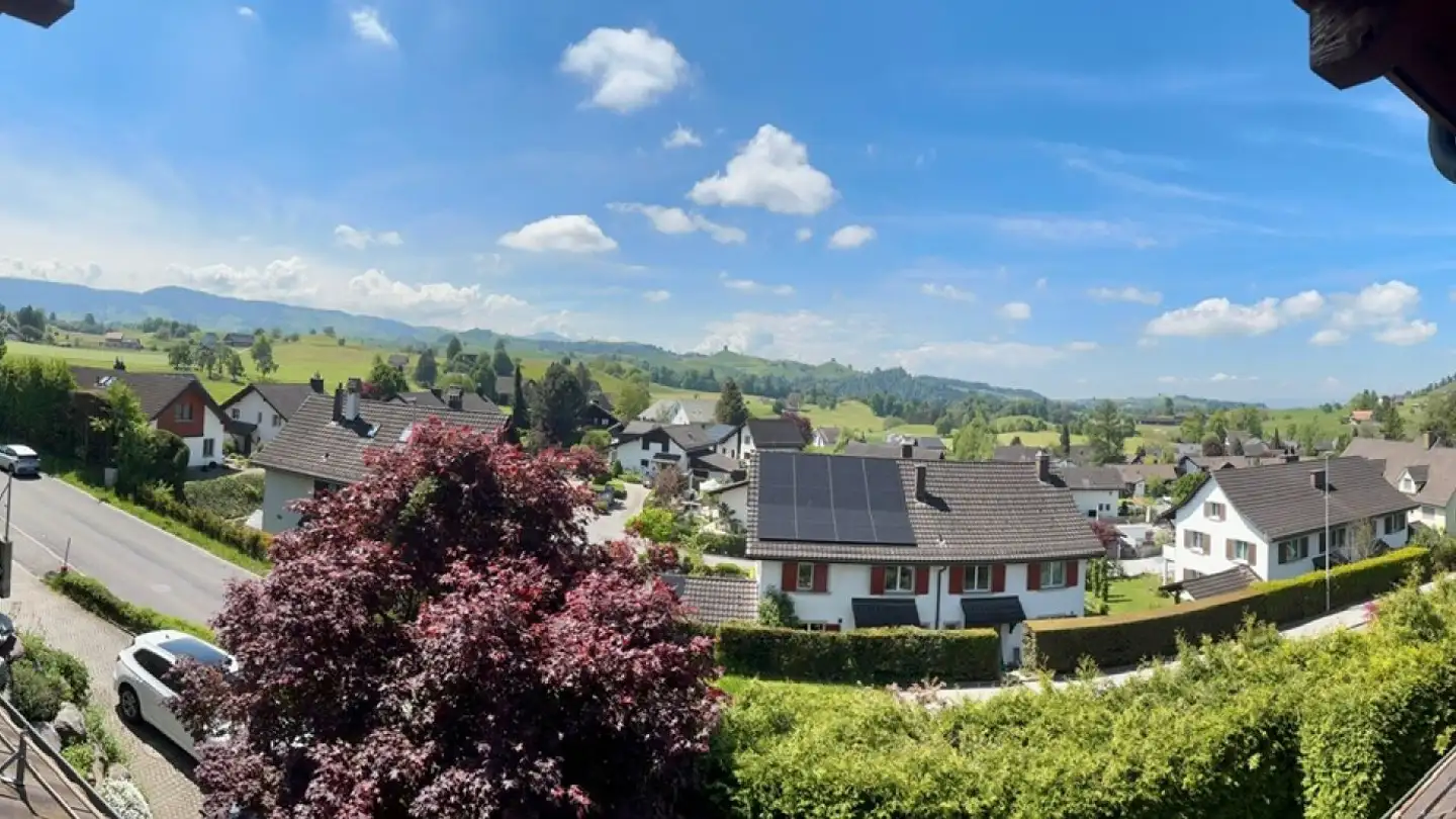 Casa singola in vendita - Schönenbergstrasse, 8820 Wädenswil - Foto 2