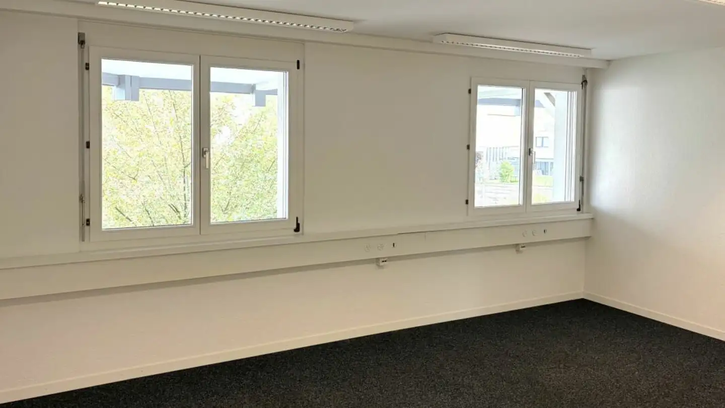 Spazio ufficio in affitto - Gestadeckplatz 2, 4410 Liestal - Foto 2