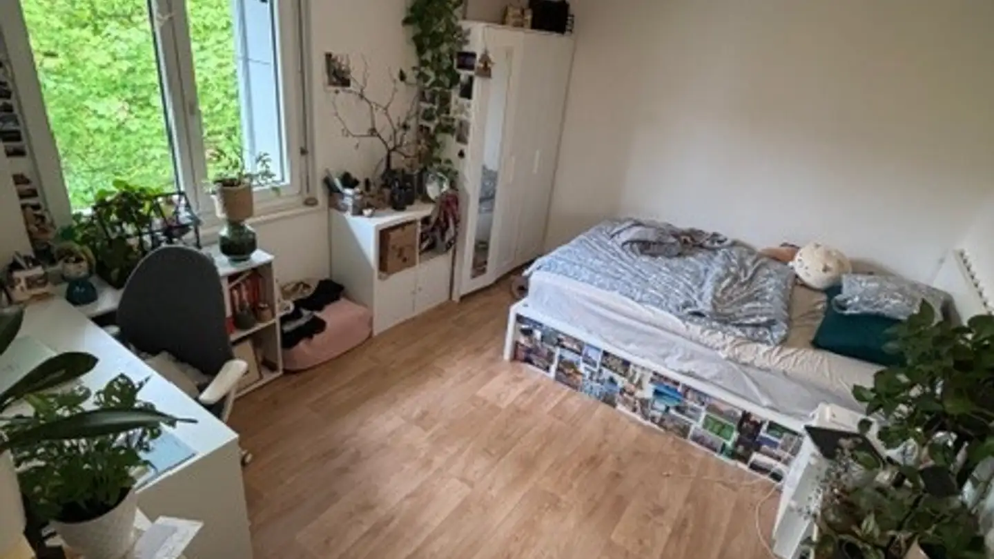 Stanza singola in affitto - 8046 Zürich