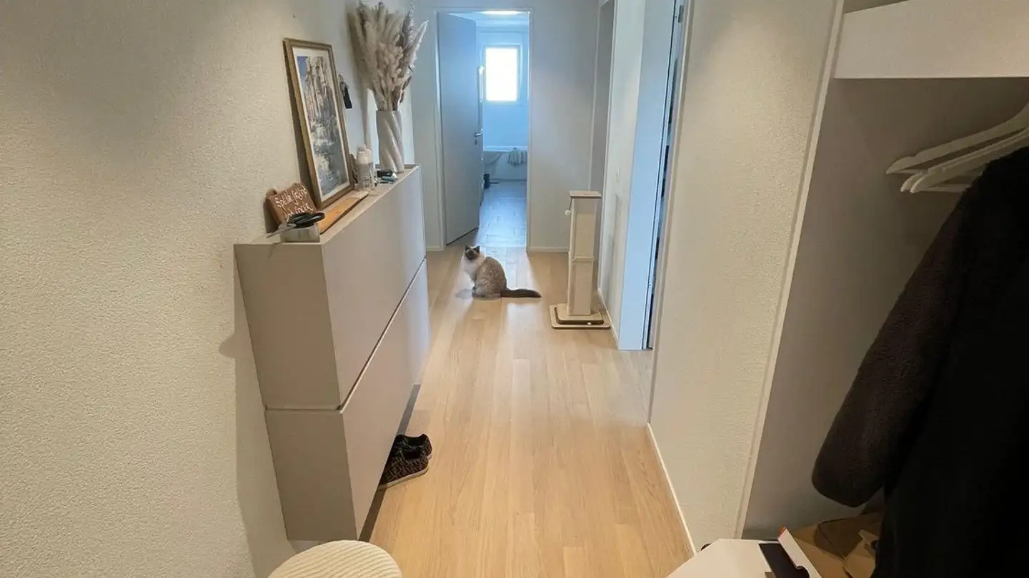 Wohnung mieten - Schulhausstrasse 19, 8600 Dübendorf - Foto 2