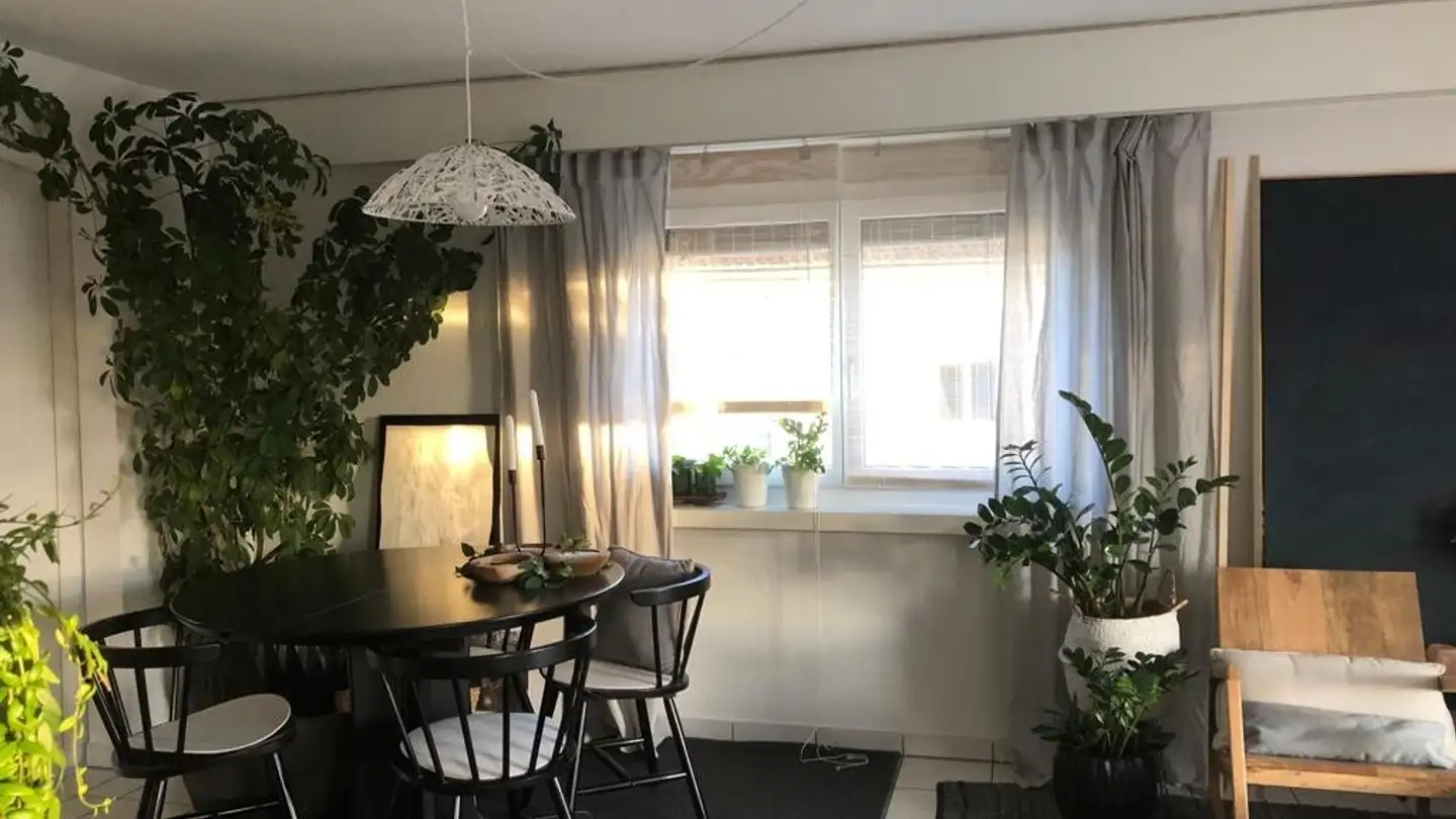 Apartment for rent - 8570 Weinfelden - Photo 3
