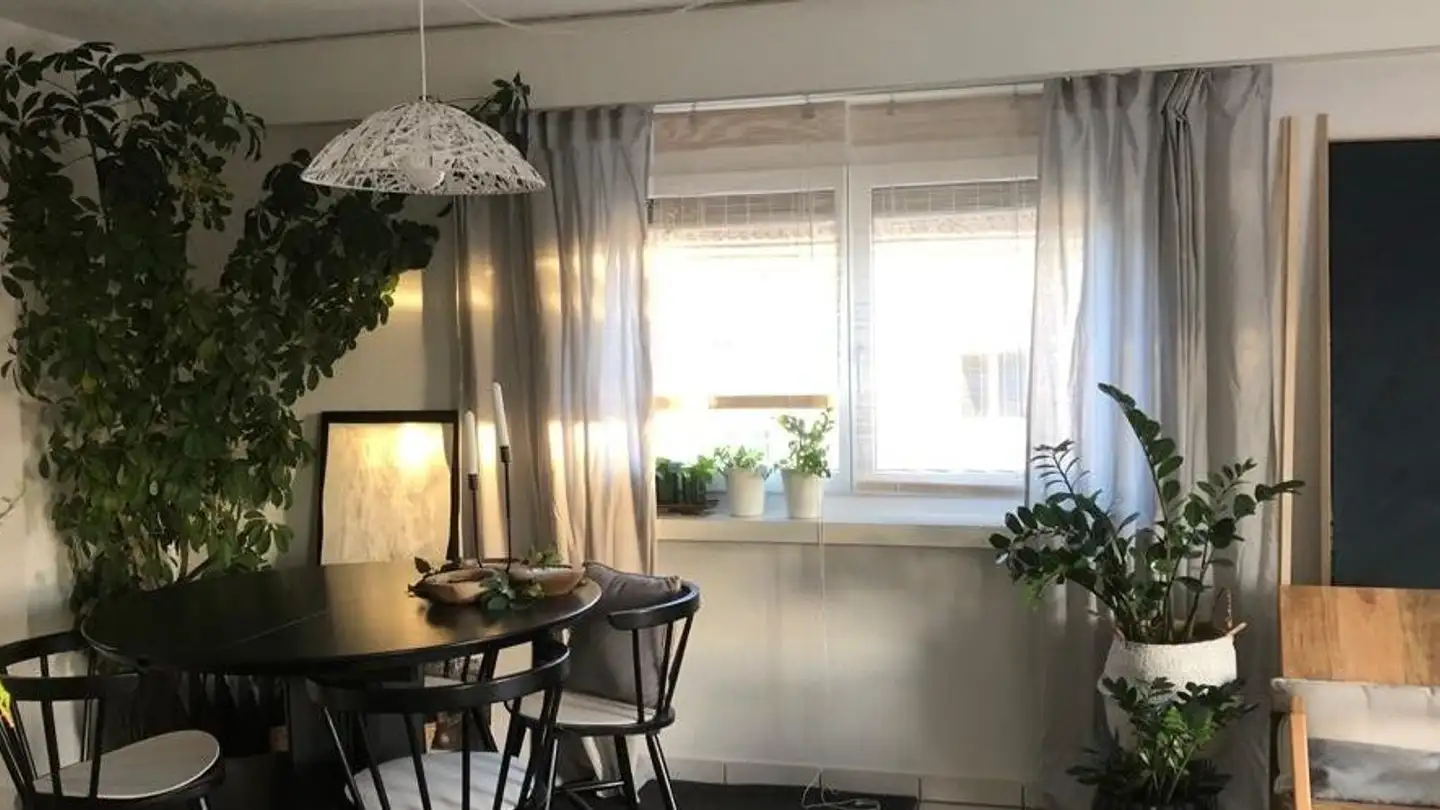 Appartement à louer - 8570 Weinfelden - Photo 3