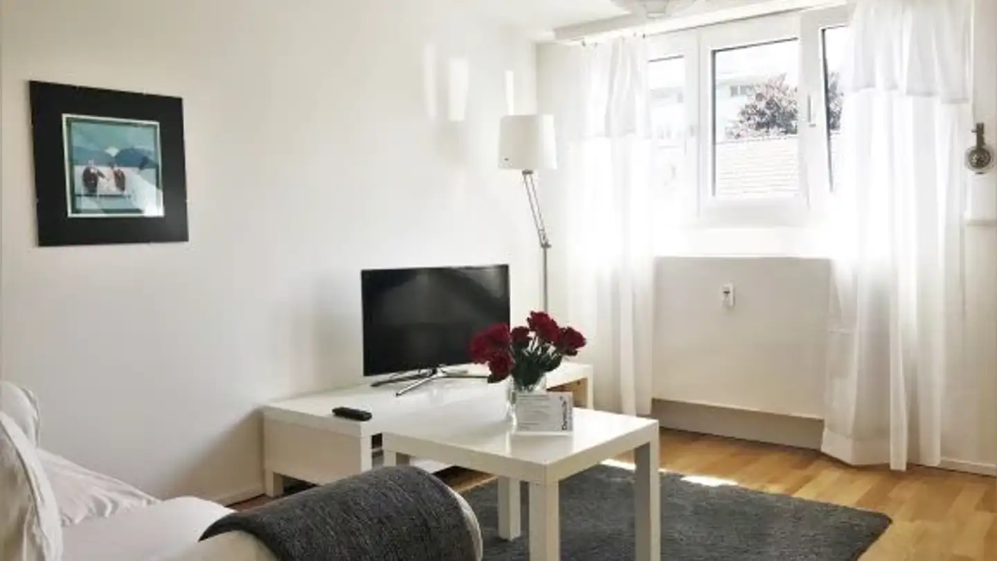 Furnished apartment for rent - St. Alban-Ring 189, 4052 Basel - Photo 3