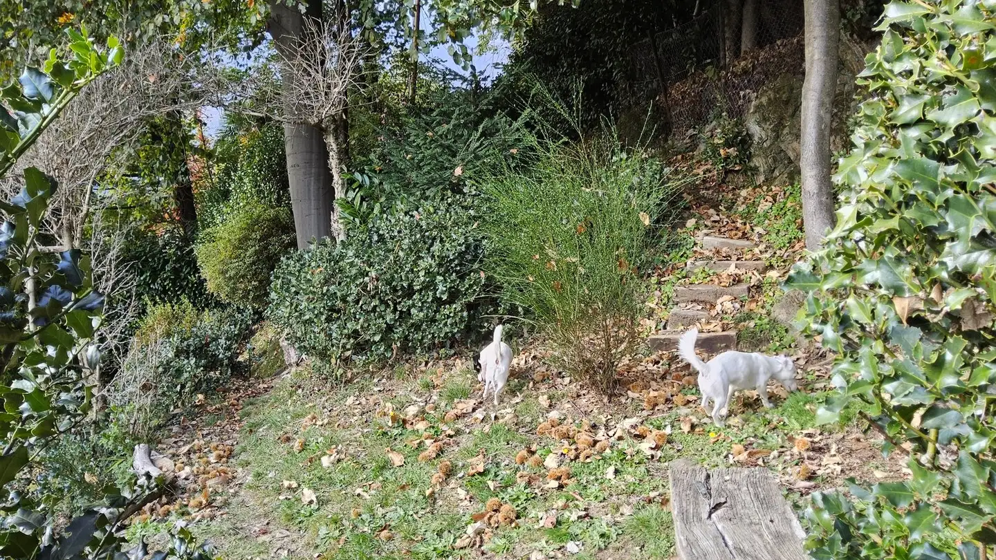 Maison individuelle à vendre - 6900 Lugano - Photo 2