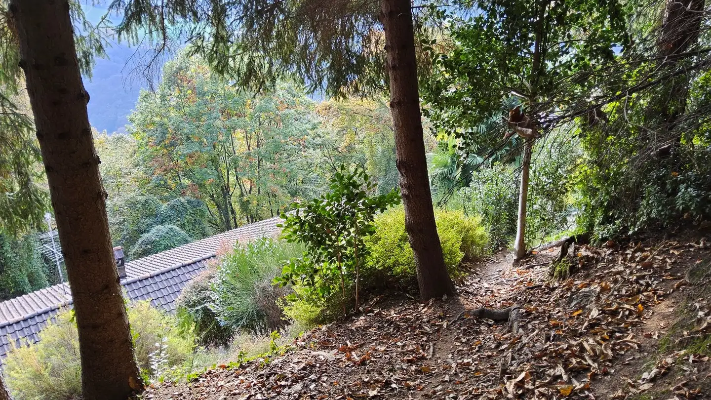 Maison individuelle à vendre - 6900 Lugano - Photo 3