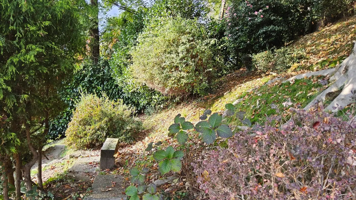 Maison individuelle à vendre - 6900 Lugano - Photo 4