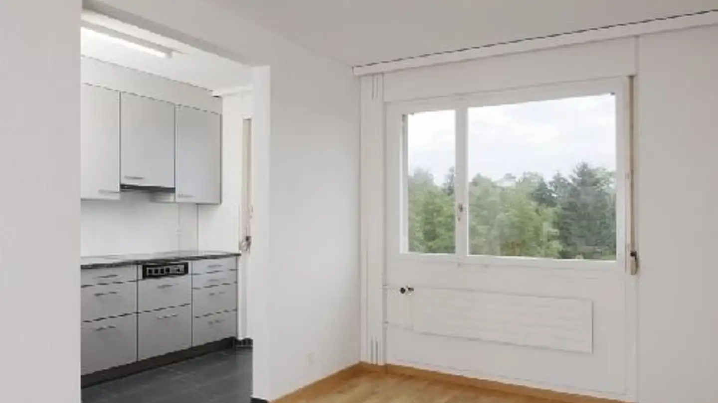 Apartment for rent - Müllerwis 21, 8606 Greifensee - Photo 2