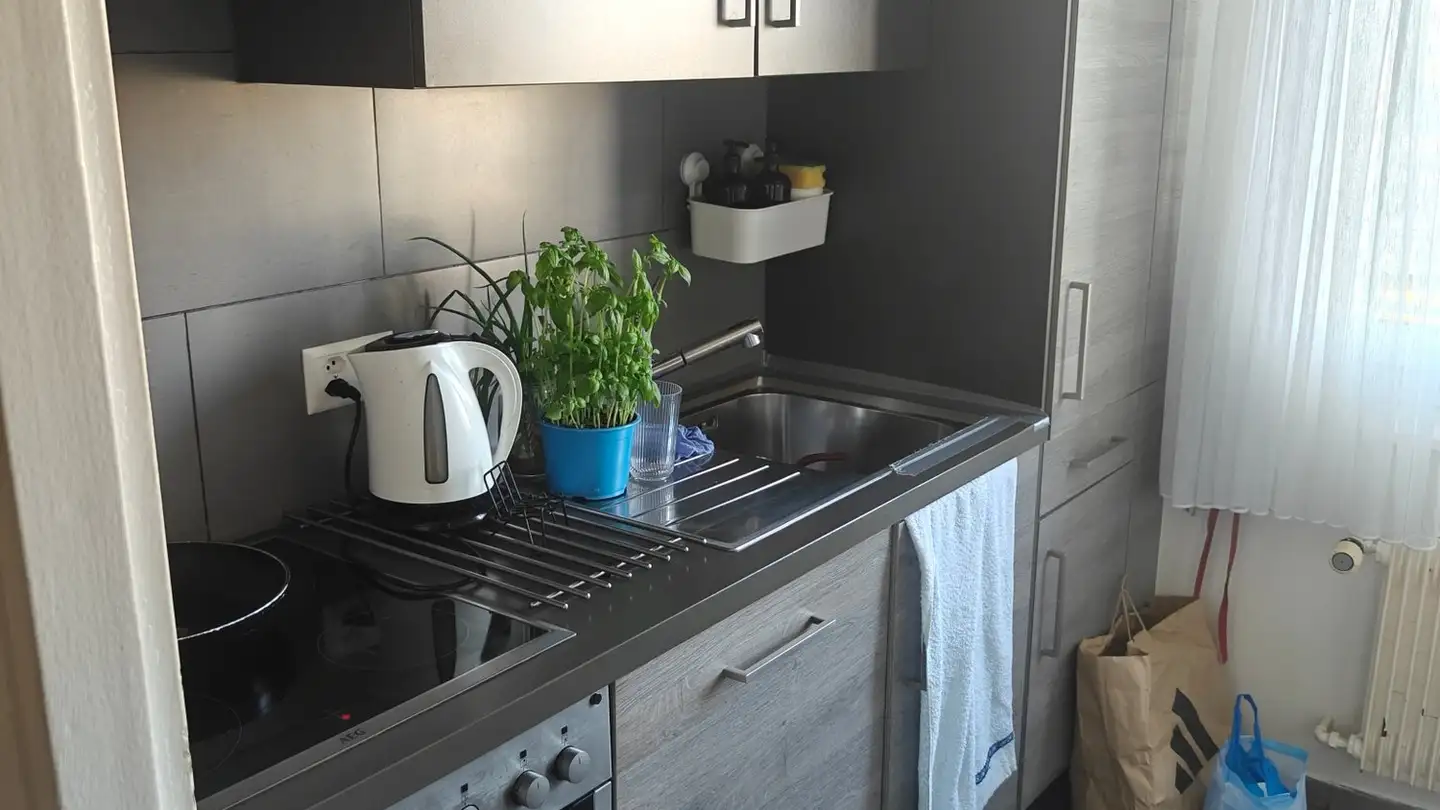 Wohnung mieten - Rue Du Lac 25b, 1020 Renens VD - Foto 4