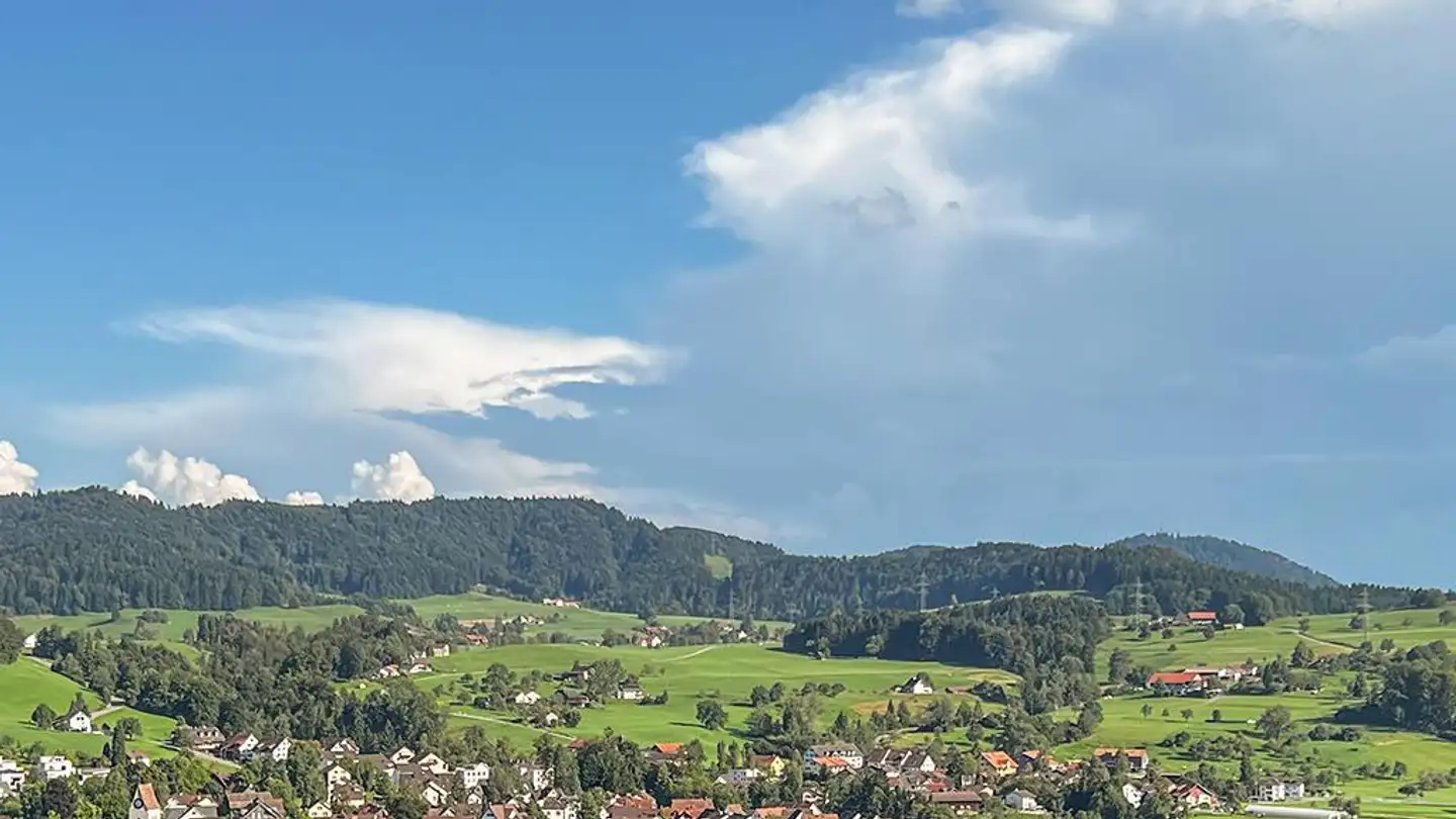 Duplex in vendita - 8344 Bäretswil - Photo 3