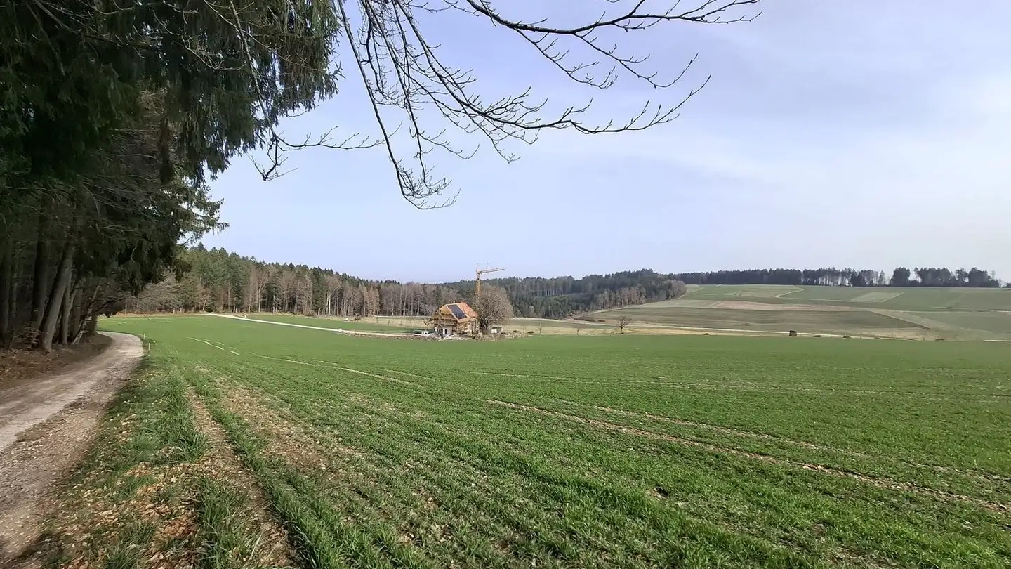 Immeuble résidentiel à louer - Feldweg 9, 3046 Wahlendorf - Photo 4