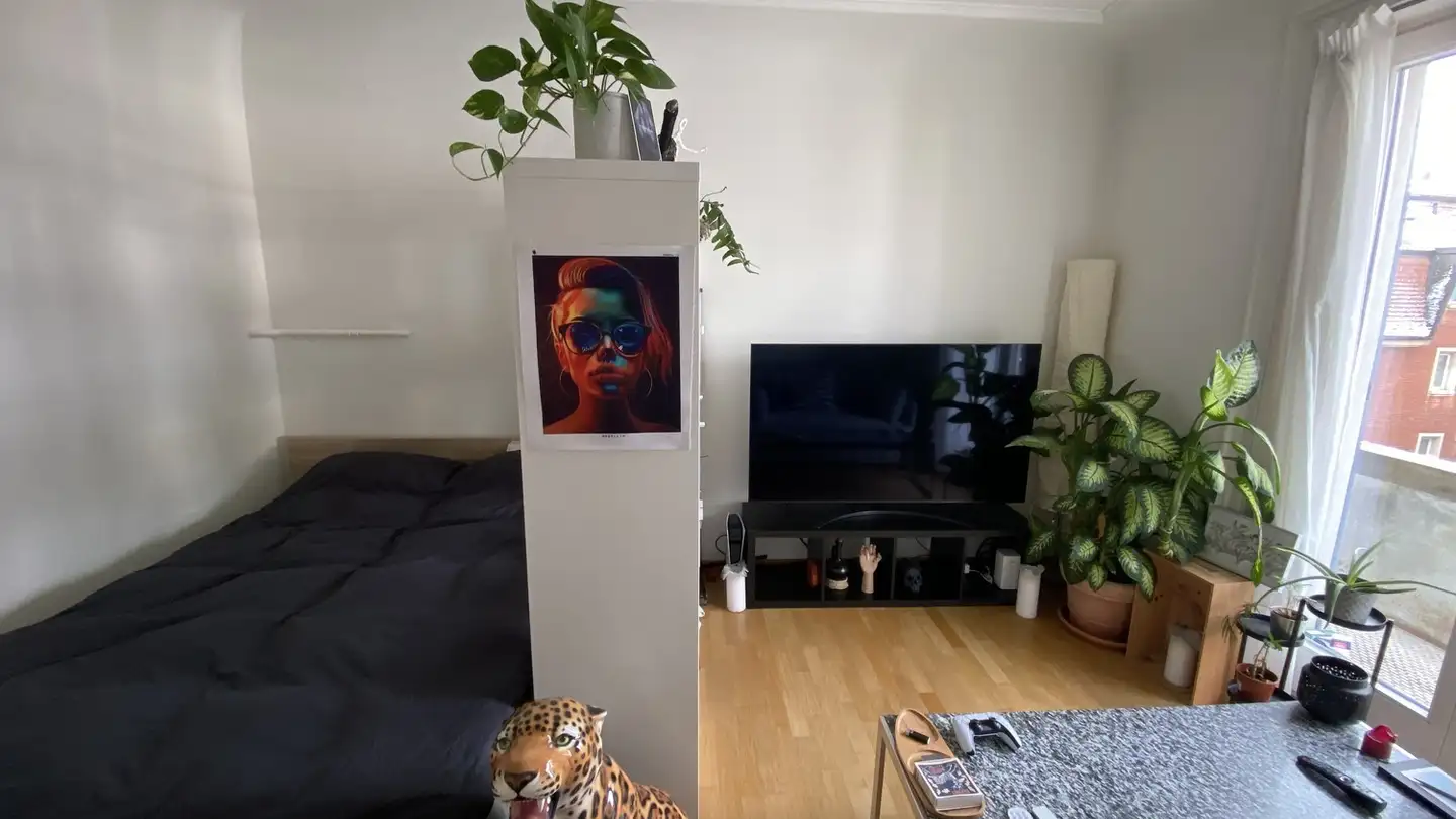 Wohnung mieten - Ekkehardstrasse 5, 8006 Zürich - Foto 2