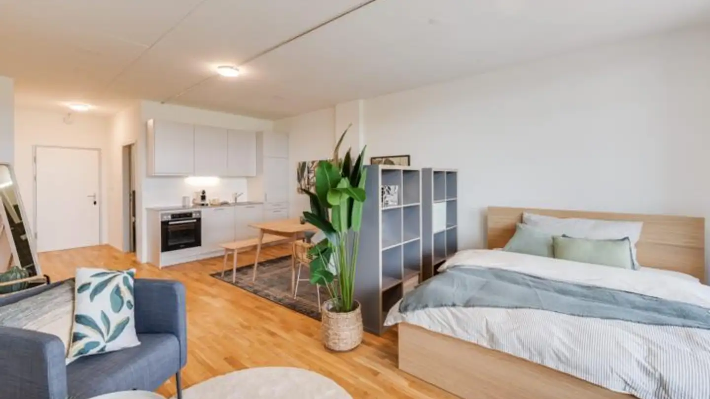 Appartement meublé à louer - Dammstrasse 14, 2540 Grenchen