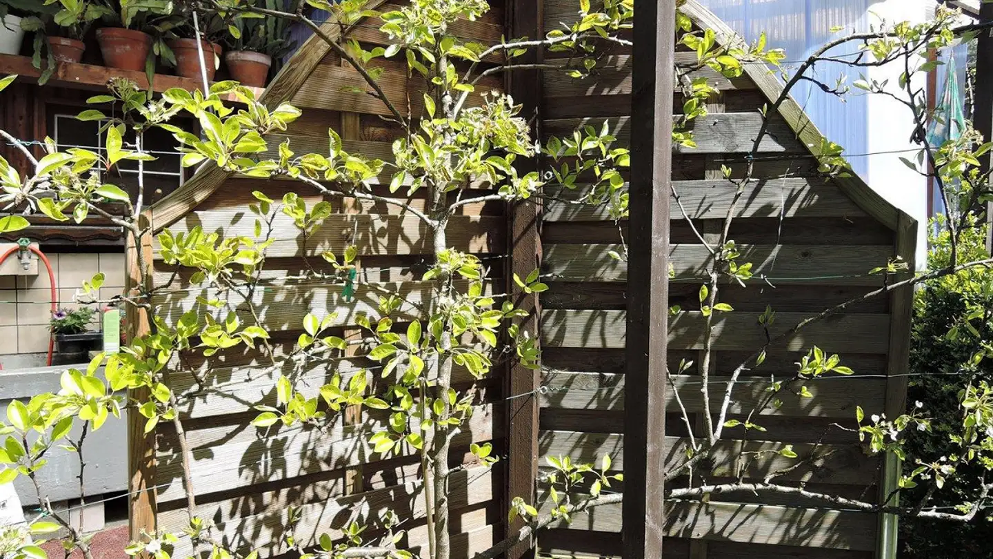 Semi-detached house for sale - 3860 Meiringen - Photo 2