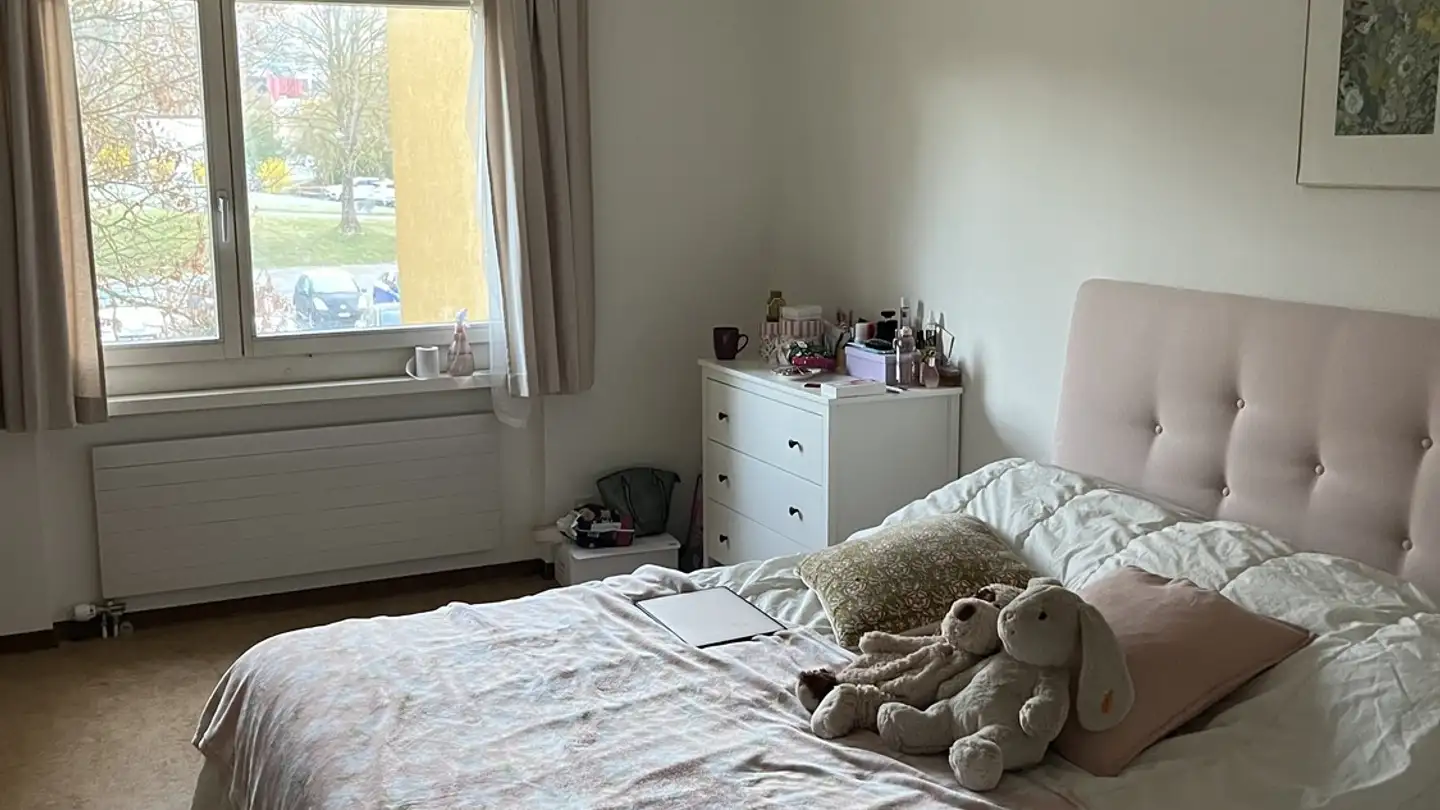 Single room for rent - Baumgartenstrasse 8, 8903 Birmensdorf ZH - Photo 2