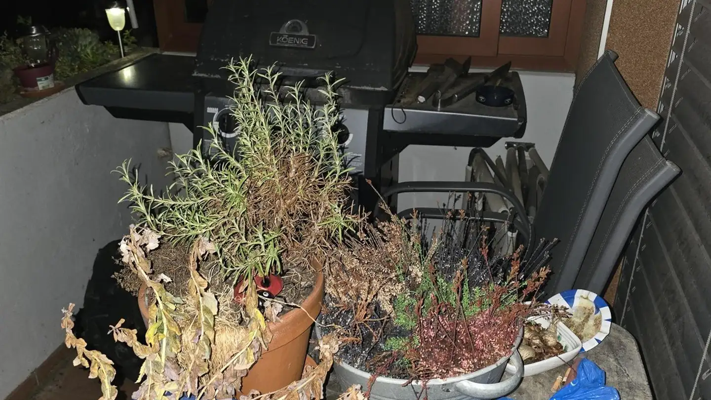 Appartamento in affitto - Chilenaustrasse 2, 8108 Dällikon - Photo 4