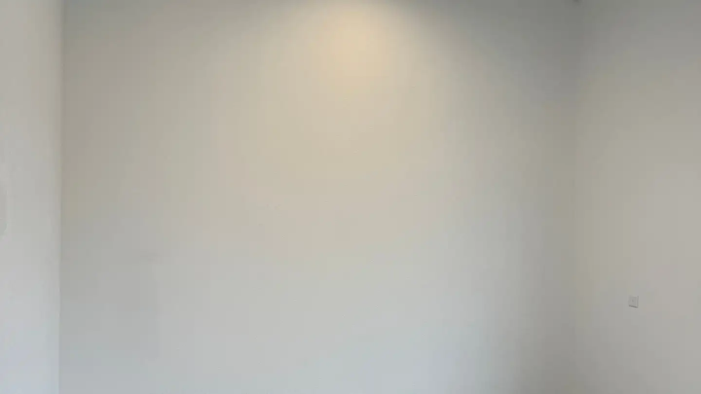 Industrieimmobilie mieten - Route Industrielle 41, 1897 Bouveret - Foto 4