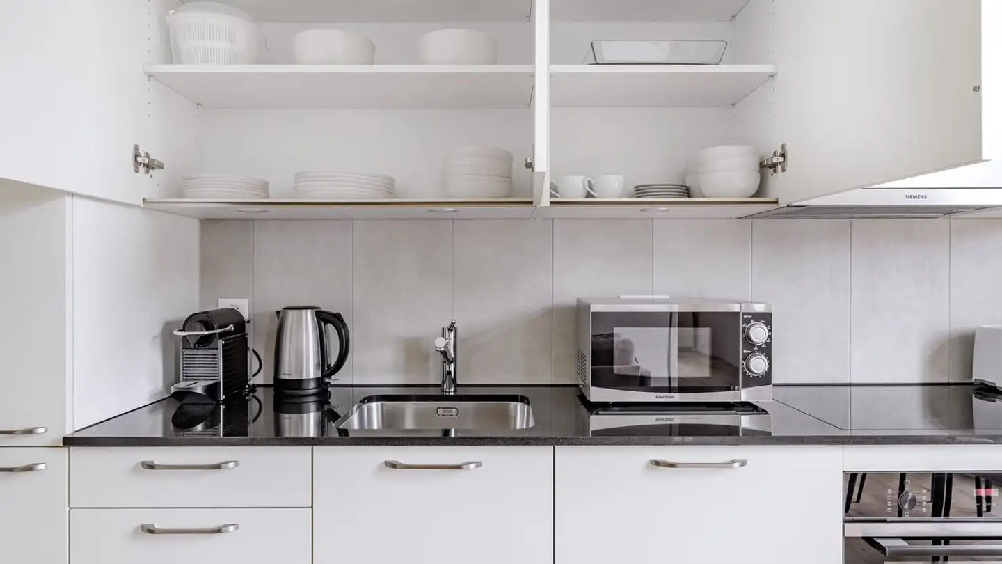 Appartamento in affitto - Schaffhauserstrasse 449, 8052 Zürich - Foto 3
